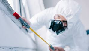 Professional Pest control in Ruch, OR